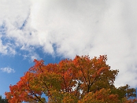 Rutger's Gardens 008